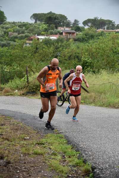 Maratonina di Villa Adriana [TOP] [C.C.R.]  (19/05/2019) 00002
