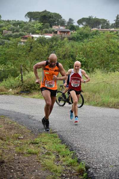 Maratonina di Villa Adriana [TOP] [C.C.R.]  (19/05/2019) 00003