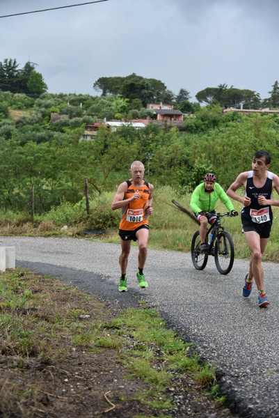 Maratonina di Villa Adriana [TOP] [C.C.R.]  (19/05/2019) 00020