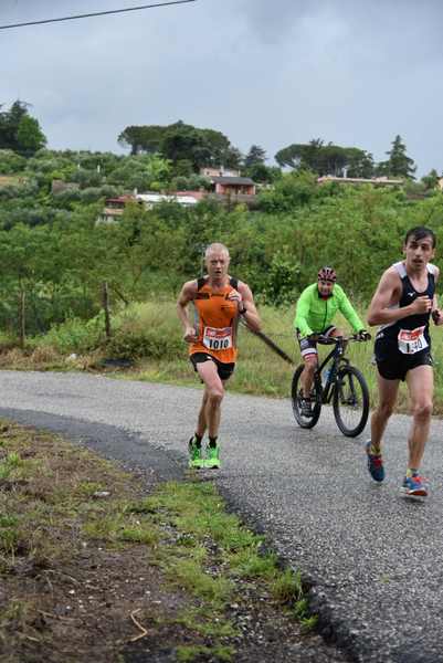 Maratonina di Villa Adriana [TOP] [C.C.R.]  (19/05/2019) 00022