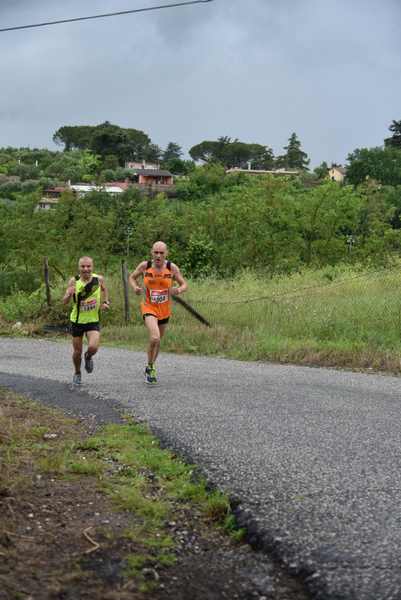 Maratonina di Villa Adriana [TOP] [C.C.R.]  (19/05/2019) 00027
