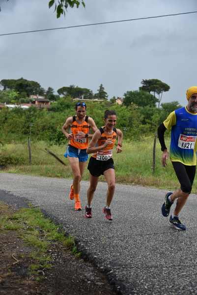 Maratonina di Villa Adriana [TOP] [C.C.R.]  (19/05/2019) 00038