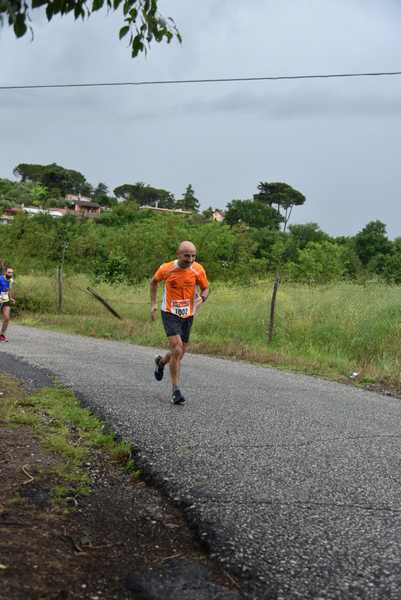 Maratonina di Villa Adriana [TOP] [C.C.R.]  (19/05/2019) 00051