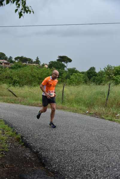 Maratonina di Villa Adriana [TOP] [C.C.R.]  (19/05/2019) 00053