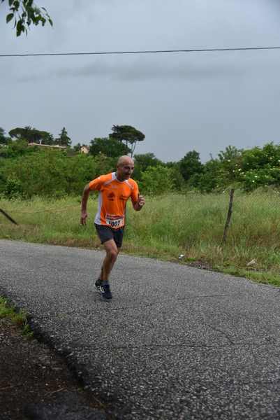 Maratonina di Villa Adriana [TOP] [C.C.R.]  (19/05/2019) 00054