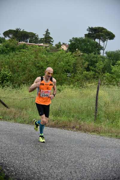 Maratonina di Villa Adriana [TOP] [C.C.R.]  (19/05/2019) 00057