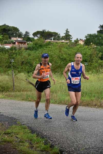 Maratonina di Villa Adriana [TOP] [C.C.R.]  (19/05/2019) 00076
