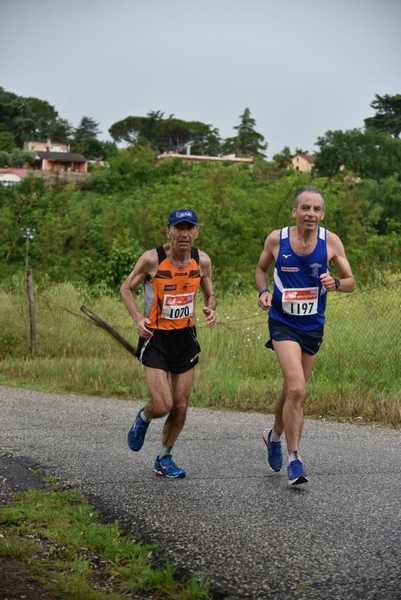 Maratonina di Villa Adriana [TOP] [C.C.R.]  (19/05/2019) 00077