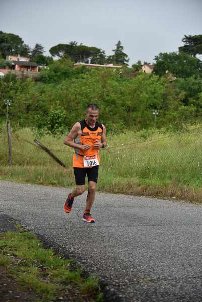Maratonina di Villa Adriana [TOP] [C.C.R.]  (19/05/2019) 00082