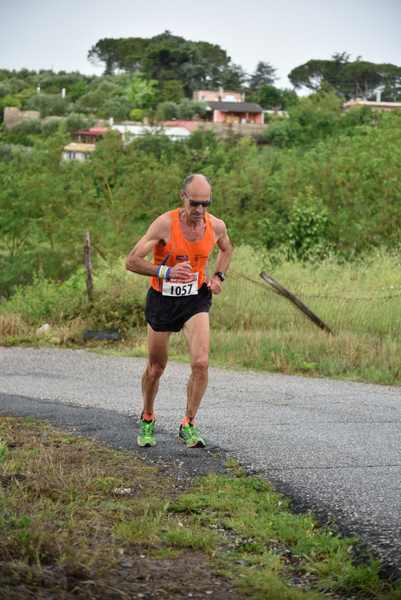 Maratonina di Villa Adriana [TOP] [C.C.R.]  (19/05/2019) 00110