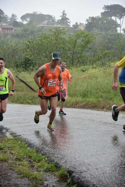 Maratonina di Villa Adriana [TOP] [C.C.R.]  (19/05/2019) 00165