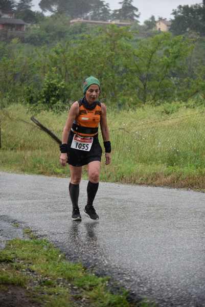 Maratonina di Villa Adriana [TOP] [C.C.R.]  (19/05/2019) 00225