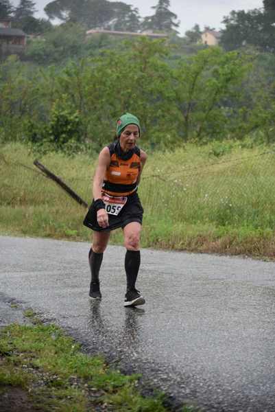 Maratonina di Villa Adriana [TOP] [C.C.R.]  (19/05/2019) 00226