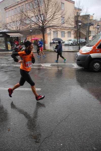 La Panoramica Half Marathon [TOP][C.C.] (03/02/2019) 00061