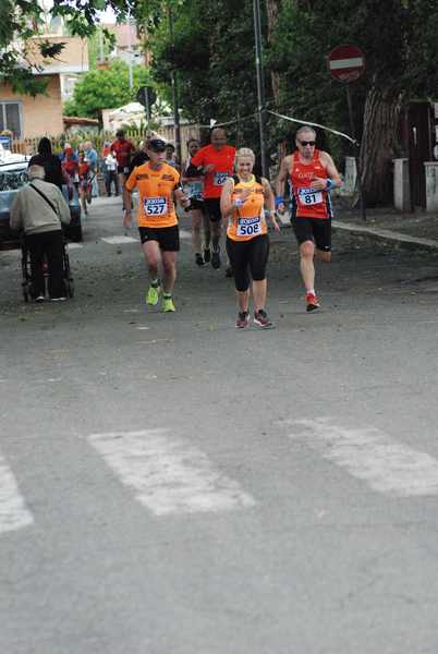 Per Antiqua Itinera  [Trofeo AVIS - GARA BLOOD] (05/05/2019) 00020