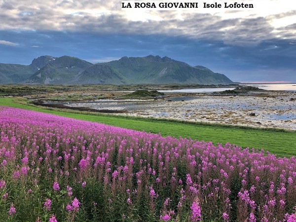 Contest Foto e Video Estate 2020 (01/09/2020) 00029