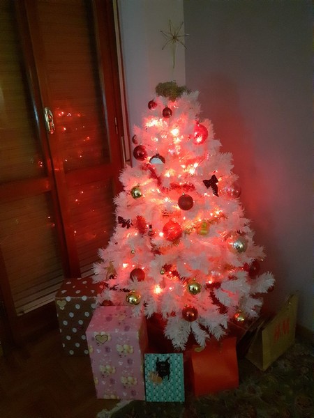 Contest Foto e Video 2020 (31/12/2020) 00005