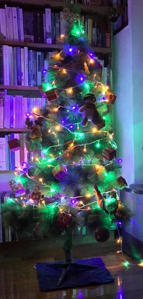 Contest Foto e Video 2020 (31/12/2020) 00030