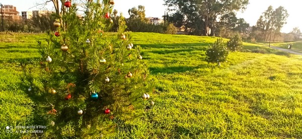 Contest Foto e Video 2020 (31/12/2020) 00032