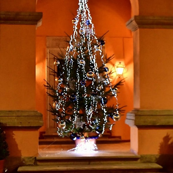 Contest Foto e Video 2020 (31/12/2020) 00034