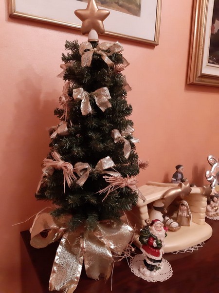 Contest Foto e Video 2020 (31/12/2020) 00071