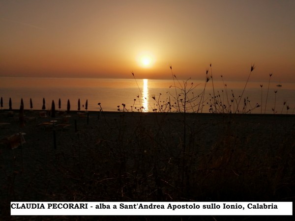 Contest Foto e Video Estate 2020 (01/09/2020) 00003