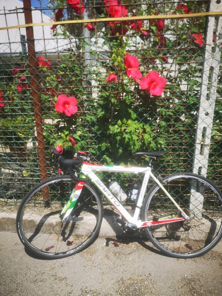Criterium Combinato Orange Duathlon Bici Corsa (11/10/2020) 00036