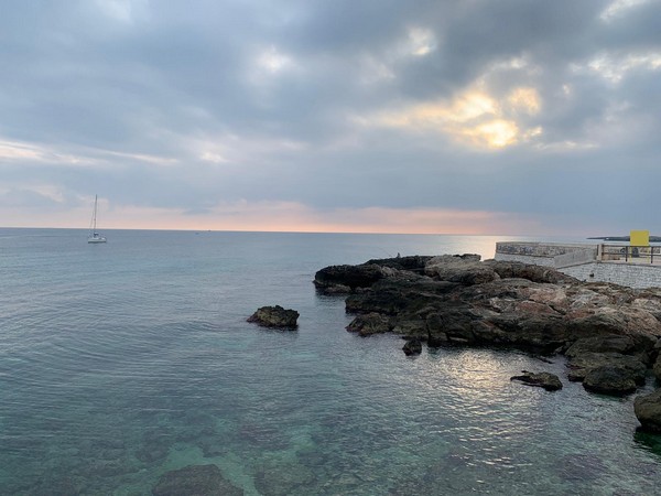 Contest Foto e Video 2020 (01/11/2020) 00035