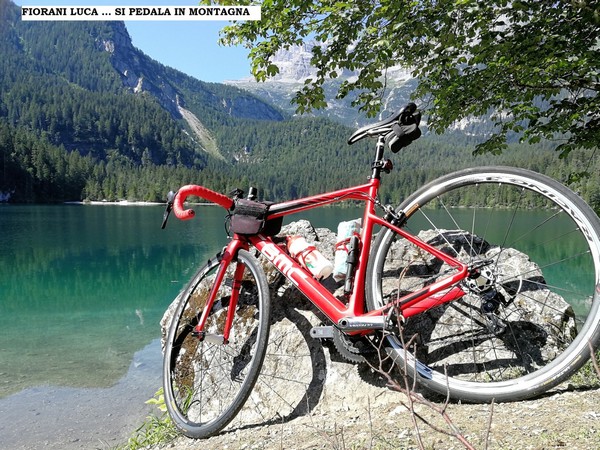 Contest Foto e Video Estate 2020 (01/09/2020) 00006