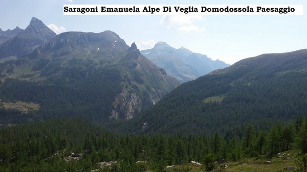Contest Foto e Video Estate 2020 (01/09/2020) 00023