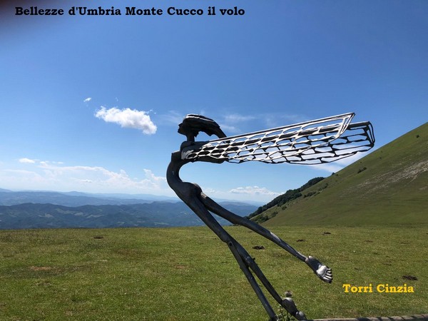 Contest Foto e Video Estate 2020 (01/09/2020) 00022