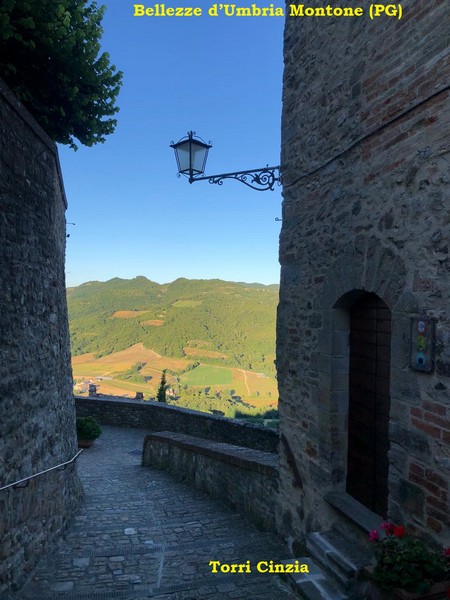 Contest Foto e Video Estate 2020 (01/09/2020) 00039