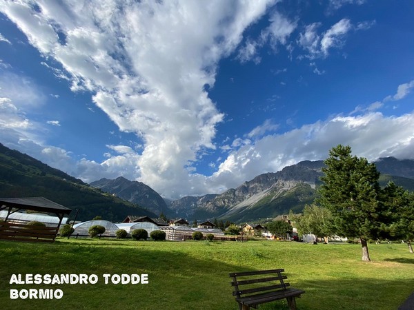 Contest Foto e Video Estate 2020 (01/09/2020) 00017