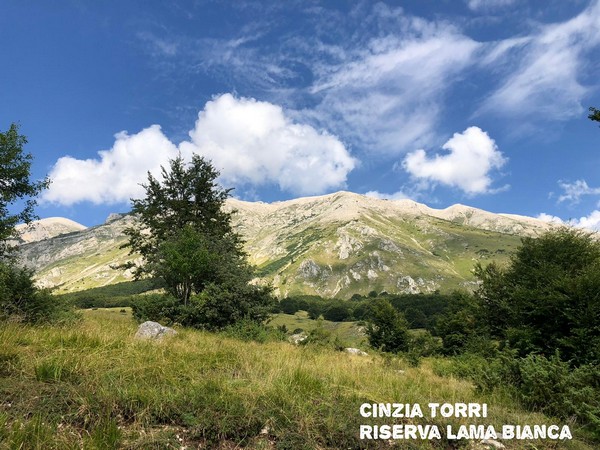 Contest Foto e Video Estate 2020 (01/09/2020) 00020