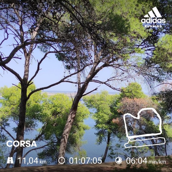 Criterium Verso La Mezza Maratona (Trofeo Solidarietà) (04/10/2020) 00030