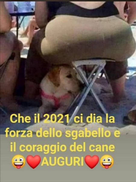 La Corsa degli...... Auguri!!!!!!!!!!!!!!!!! (31/12/2020) 00014