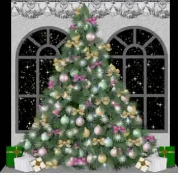 La Corsa degli...... Auguri!!!!!!!!!!!!!!!!! (31/12/2020) 00019