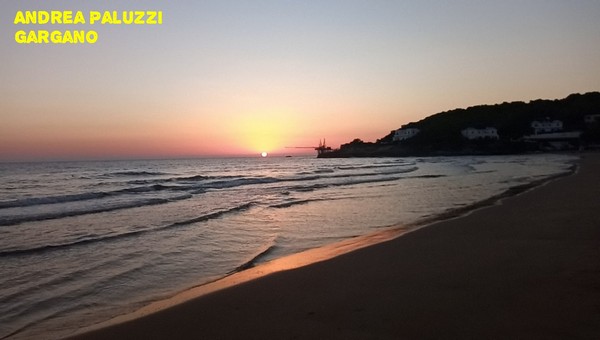 Contest Foto e Video Estate 2020 (01/09/2020) 00014