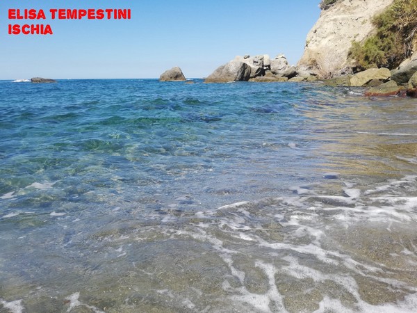 Contest Foto e Video Estate 2020 (01/09/2020) 00025