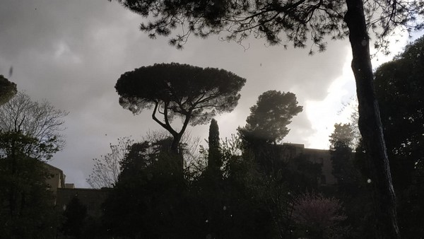 Contest Foto e Video 2021 (30/05/2021) 00001