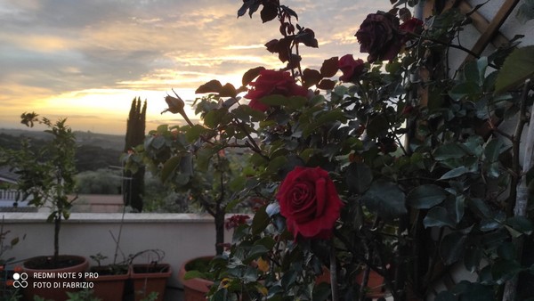 Contest Foto e Video 2021 (30/05/2021) 00024