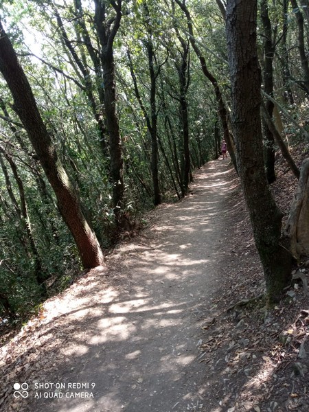 Ricordi d'Estate (31/08/2021) 0034