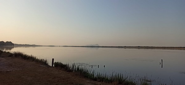 Ricordi d'Estate (31/08/2021) 0044