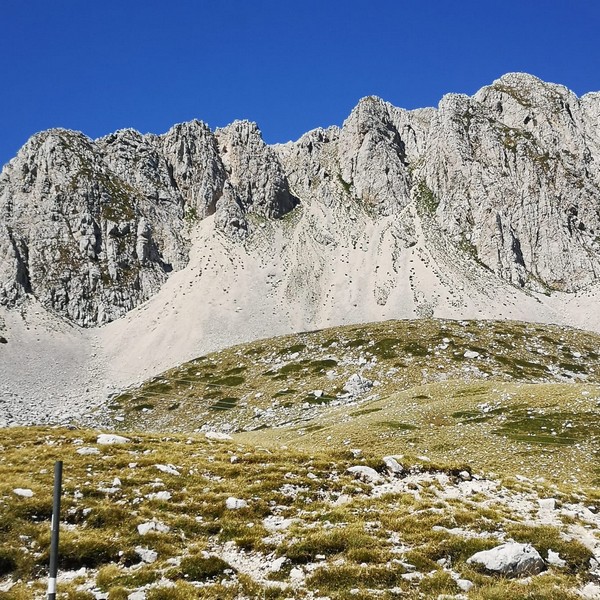 Ricordi d'Estate (31/08/2021) 0057