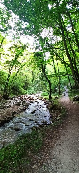 Ricordi d'Estate (31/08/2021) 0058