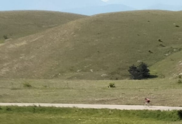Tutti insieme in bici per le strade del Lazio (15/07/2021) 00007