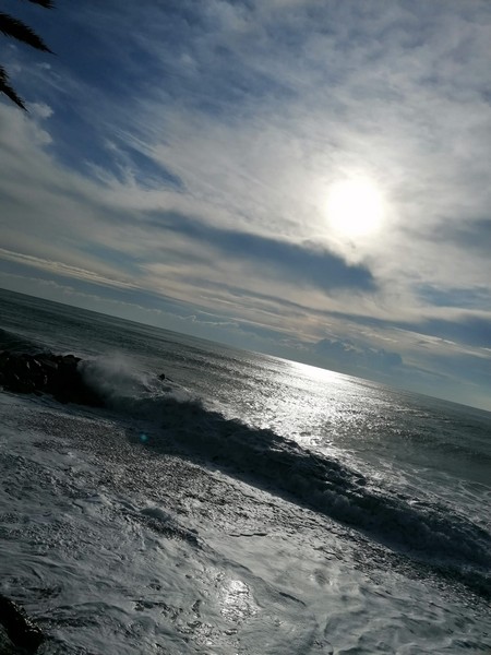 Contest Foto e Video 2021 (31/01/2021) 00013
