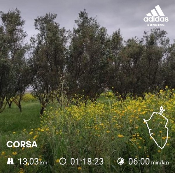 ROMA VIRTUAL - 3 VILLE RUN (18/04/2021) 00013