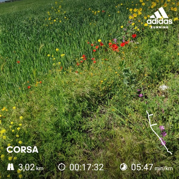 Circuito d'Acciaio - 3000 DEL PARCO (01/05/2021) 00006