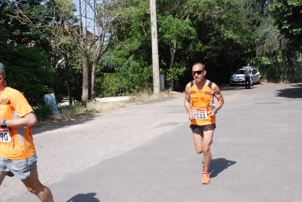 Maratonina di Villa Adriana [TOP] (29/05/2022) 0004